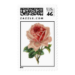 PINK ROSE POSTAGE STAMPS