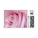 Pink Rose Postage Stamps