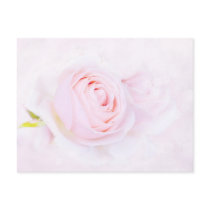 Pink rose post cards