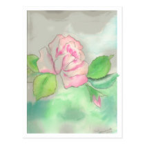 Pink Rose Postcard postcards