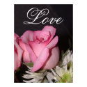 Pink Rose posters