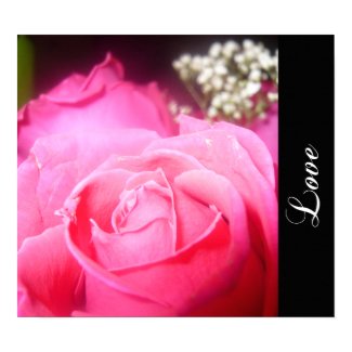 Pink Rose Poster print