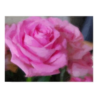 Pink Rose poster print