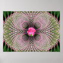 Pink Rose posters