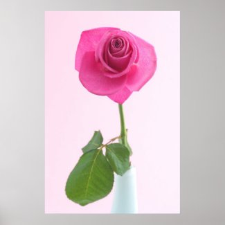 Pink rose print