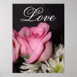 Pink Rose Poster