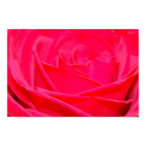 Pink Rose Poster posters