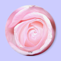 Pink Rose, S Cyr magnets