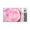Pink Rose, S Cyr postage