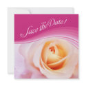 Pink Rose - Save the Date card invitations by BluePlanet Pink Rose - Save the Date card invitations