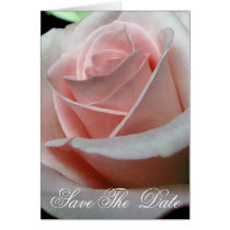 Pink Rose "Save The Date Cards" cards