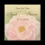 Pink Rose Save-The-Date