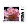 Pink Rose Save the Date!