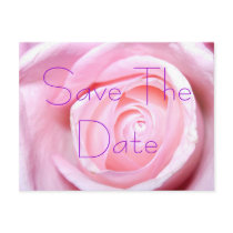 Pink Rose, Save The Date Postcard