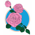 Pink rose shirt by Duncan_Reed Pink rose shirt