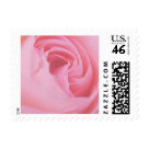 postcard - This elegant wedding postage features a lovely pink rose. Perfect for all your wedding mailings!Please visit Two Hearts Wedding Shoppe for a lovely selection of Wedding Postage, Save The Date announcements, Wedding Party Buttons, Bridal Party T-Shirts and other wonderful keepsakes.