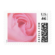Pink Rose Small Postage postage