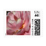 Pink Rose Small Postal Square Wedding Postage stamp
