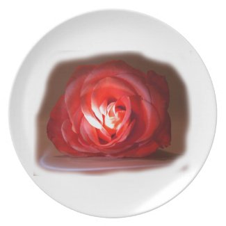 Pink Rose Spotlighted Iimage plate