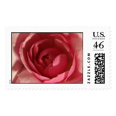 Pink Rose Stamp
