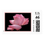 Pink Rose Stamp