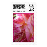 Pink Rose Stamp #2