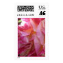 Pink Rose Stamp #2