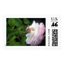Pink Rose Stamp #4