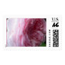 Pink Rose Stamp #5