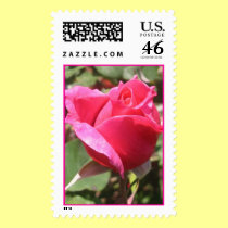 Pink Rose Stamp #6 stamps