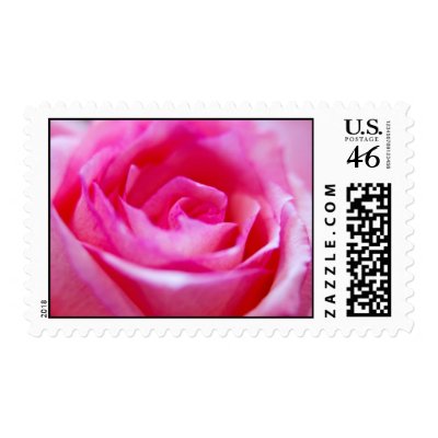 Pink Rose Stamp