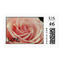 Pink Rose Stamp