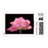 Pink rose stamp