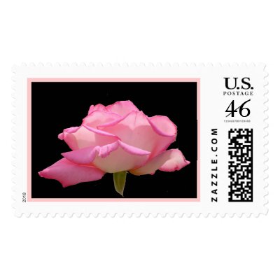 Pink rose stamp