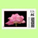 Pink rose stamp