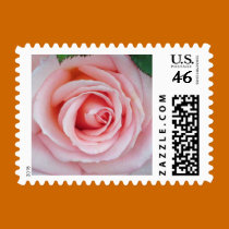 Pink Rose Stamp