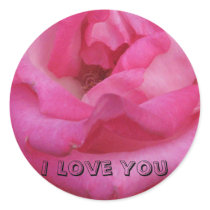 Pink Rose Sticker by ggbythebay Pink Rose Sticker