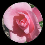 Pink Rose Sticker