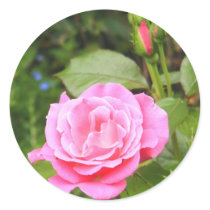 Pink Rose Round Stickers