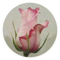 Pink rose sticker by Lesleysloft Pink rose sticker