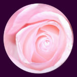Pink Rose