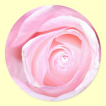 Pink Rose stickers