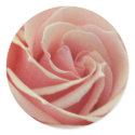 Pink Rose stickers