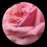 Pink Rose Sticker