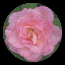 Pink Rose stickers