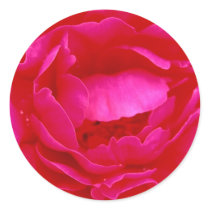 Pink Rose Sticker - Customizable by colorimages Pink Rose Sticker - Customizable