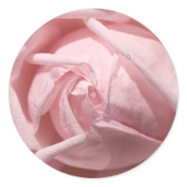 Pink Rose Stickers by mlane53 Pink Rose Stickers