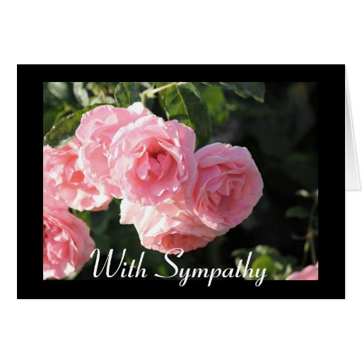 Pink Rose Sympathy Card Zazzle