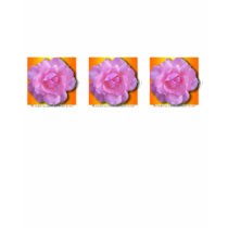 Pink rose t-shirt by Emazevedo Pink rose t-shirt