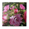 Pink Rose Tile